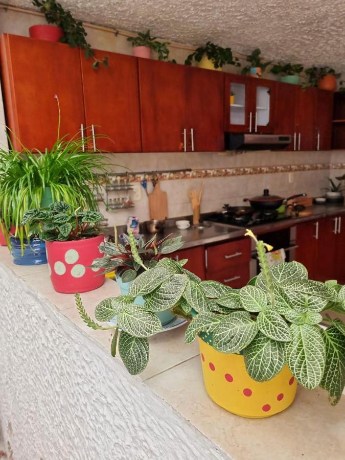 Tatami Hostel Bucaramanga Ngoại thất bức ảnh