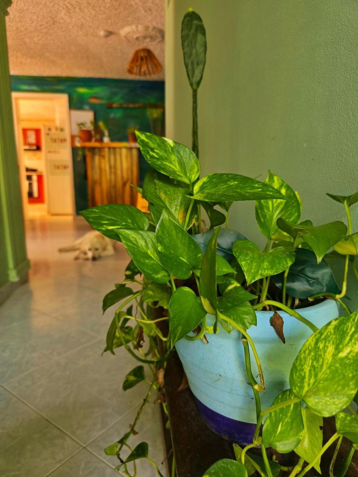 Tatami Hostel Bucaramanga Ngoại thất bức ảnh